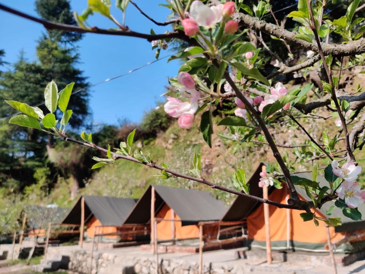 Himtrek Riverside Camps & Hostel Manali Exteriér fotografie