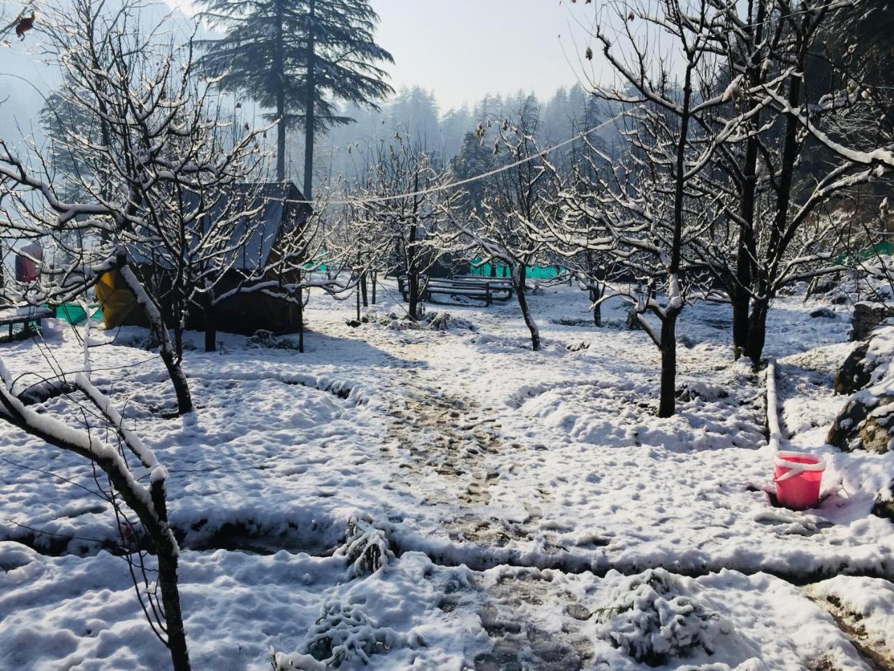 Himtrek Riverside Camps & Hostel Manali Exteriér fotografie