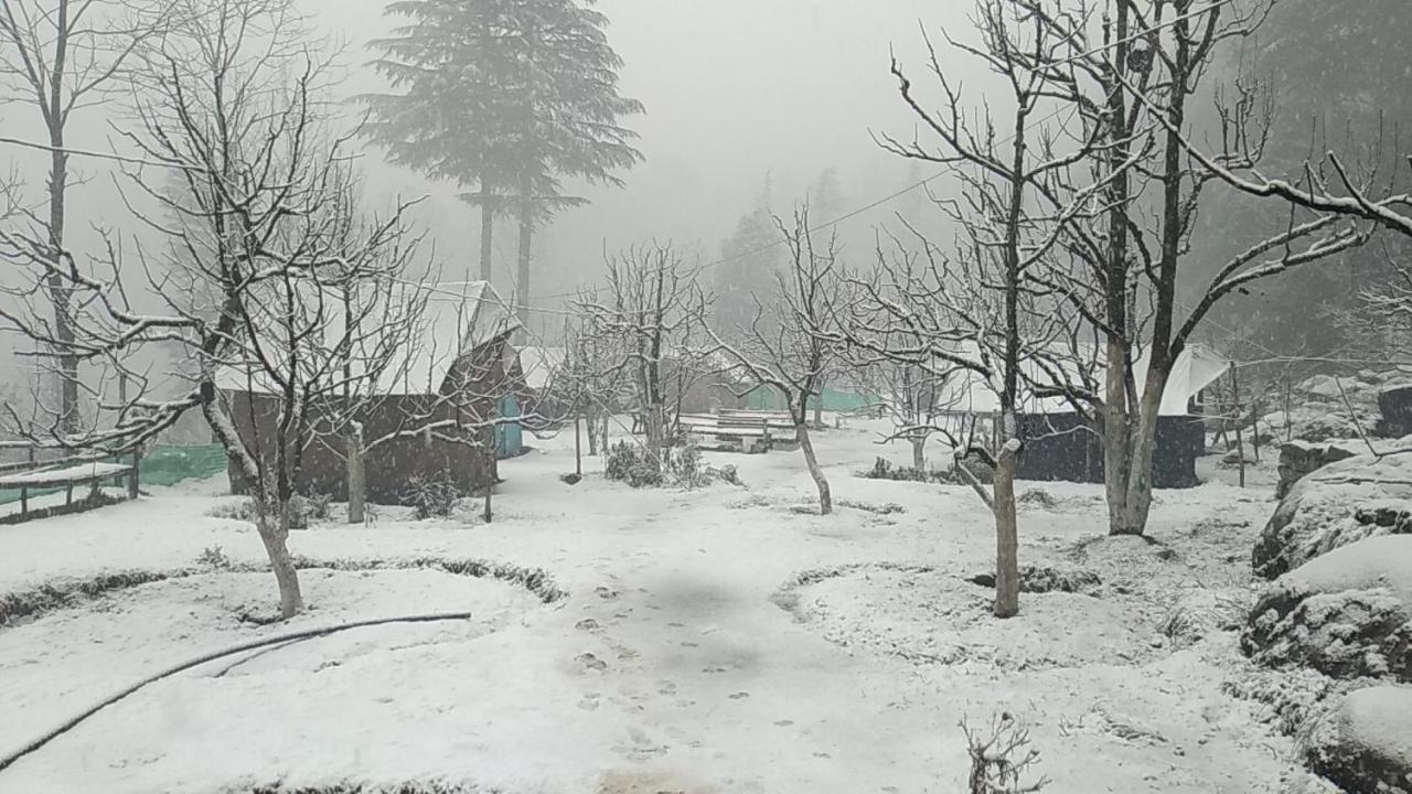 Himtrek Riverside Camps & Hostel Manali Exteriér fotografie